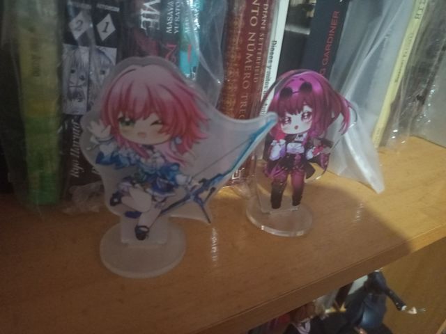 Supporti in acrilico Hokai Star Rail