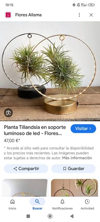 Planta aérea
