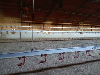 Bebederos avicolas tigsa