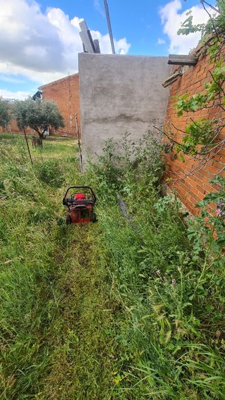 Desbroce y limpieza de parcelas