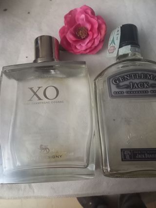 Bottiglie vuote whisky e cognac
