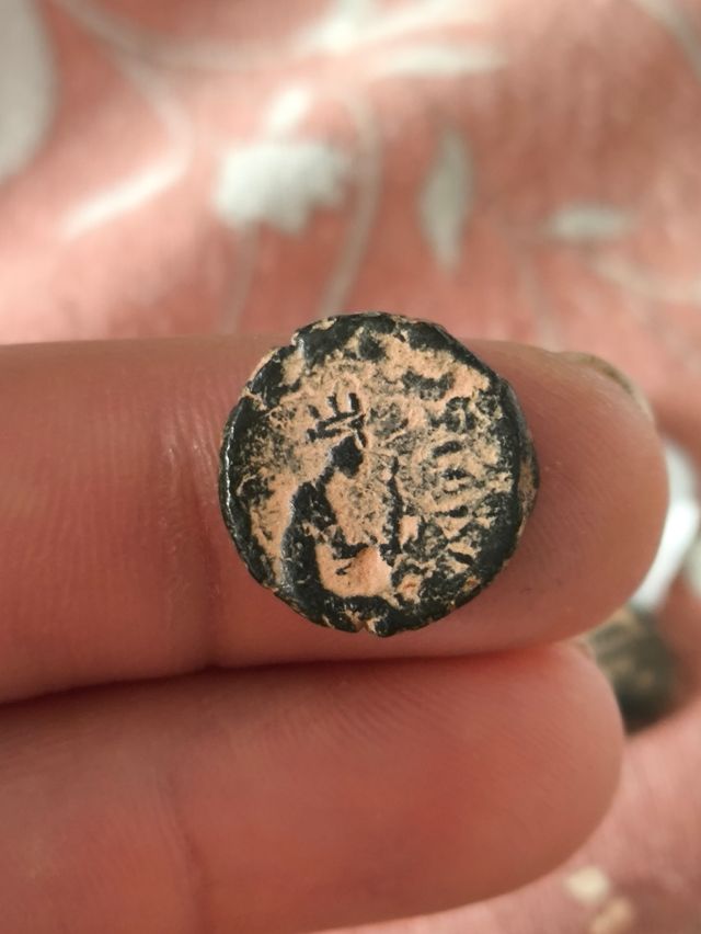 Moneda Griega Samosata Commagene