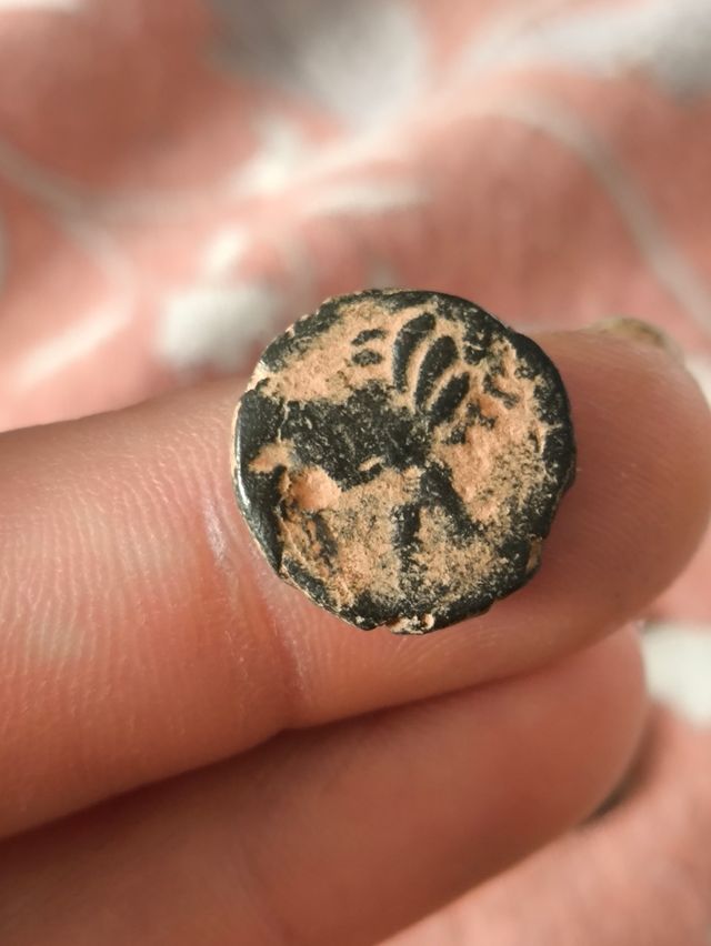 Moneda Griega Samosata Commagene