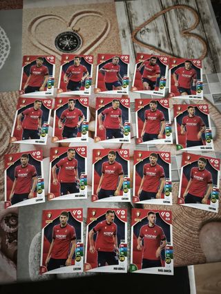 Cromos Adrenalyn  24-25