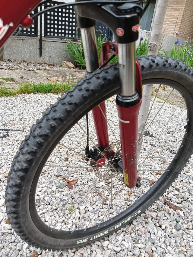 Bici mtb specialized chica