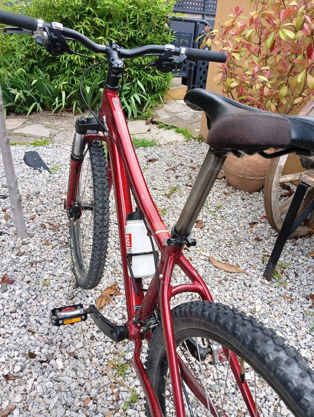 Bici mtb specialized chica