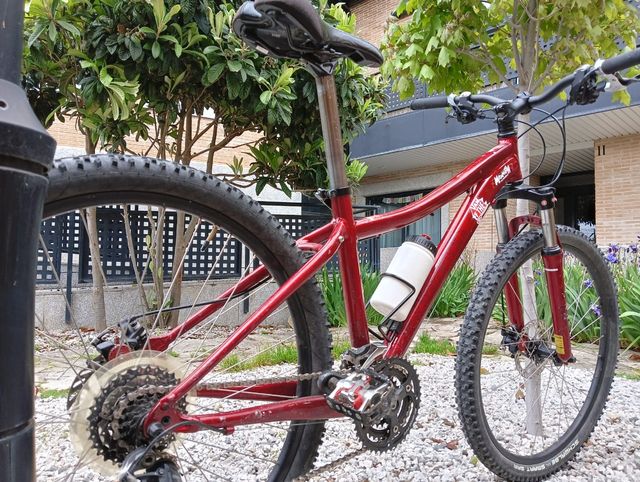 Bici mtb specialized chica