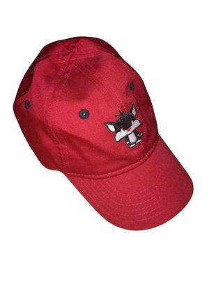 Gorra New Era Junior Silvestre roja