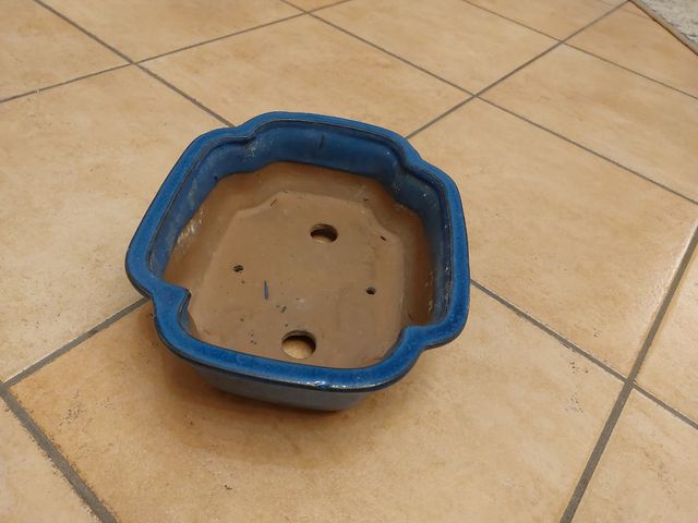 Vaso Bonsai Ceramica Blu