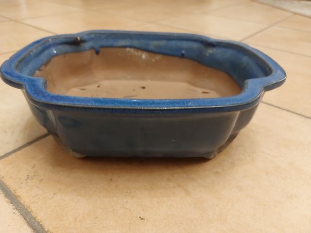Vaso Bonsai Ceramica Blu
