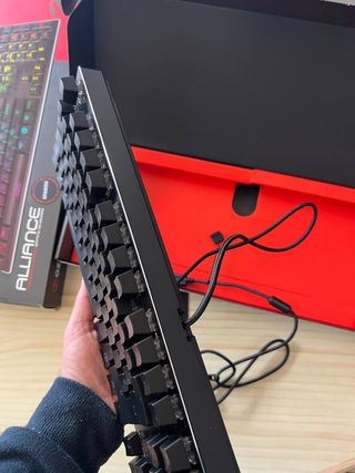 Ozone Alliance: Teclado gaming RGB