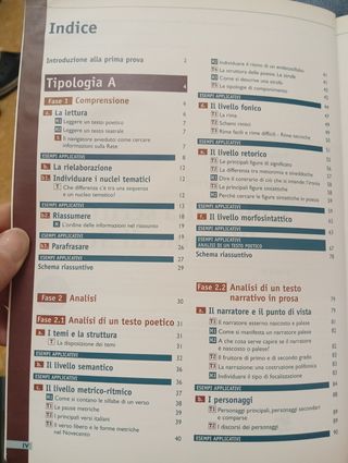 Guida alla scrittura e all' esame di Stato