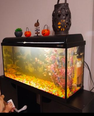 Pecera acuario 100 litros