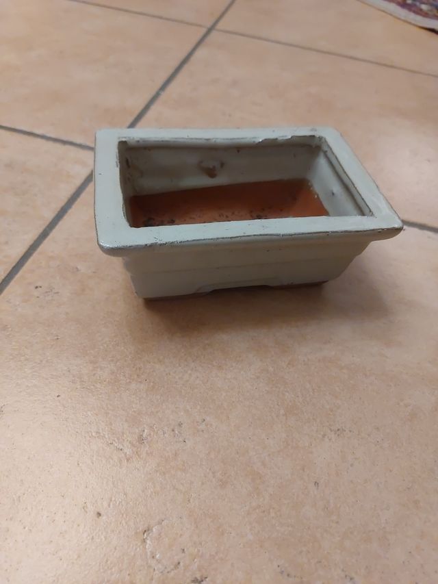 Vaso Bonsai Ceramica grigio