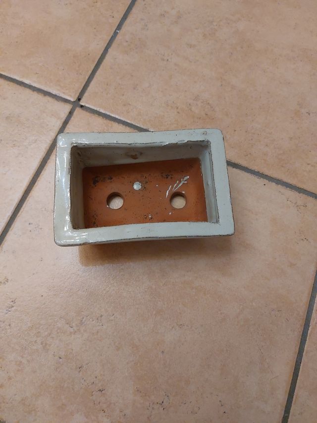 Vaso Bonsai Ceramica grigio