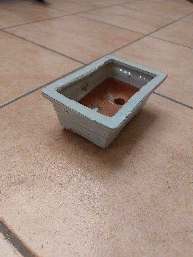 Vaso Bonsai Ceramica grigio