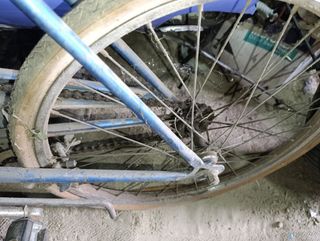 Bicicleta clásica 