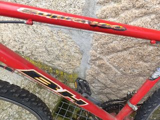 Bicicleta clásica 