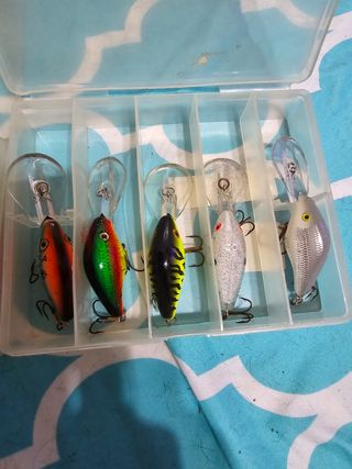 Rapalas pesca