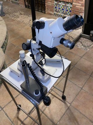 Microscopio Estereoscópico c/Luz