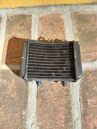 Recambios Polini minimotos