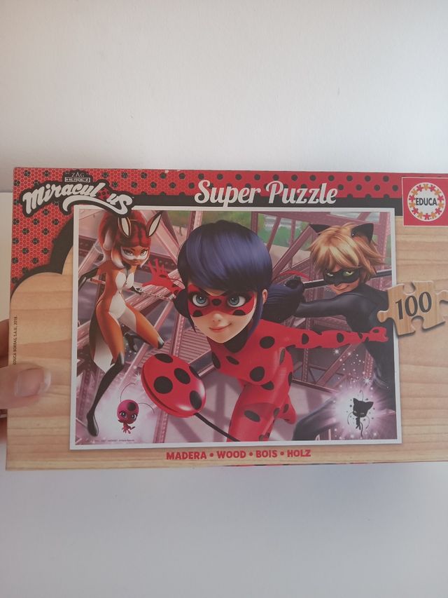 Puzzle Ladybug