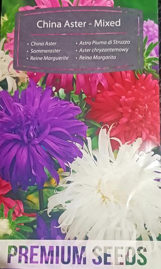 20 Semillas Reina Margarita (Aster China Mix) 