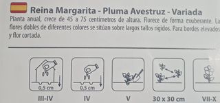 20 Semillas Reina Margarita (Aster China Mix) 