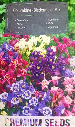15 Semillas Aguileña Biedermeier
