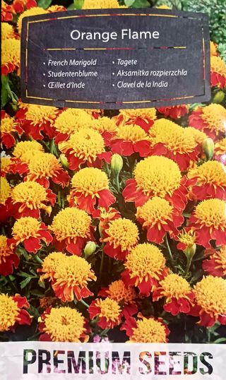 20 Semillas Clavel de la India .