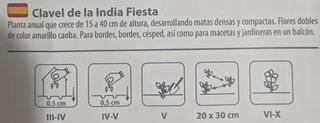 20 Semillas Clavel de la India Fiesta