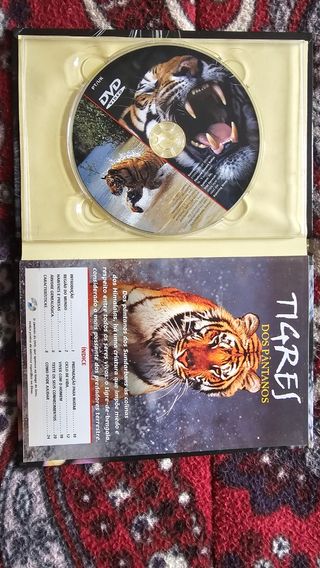 Livro Tigres dos pântanos com CD