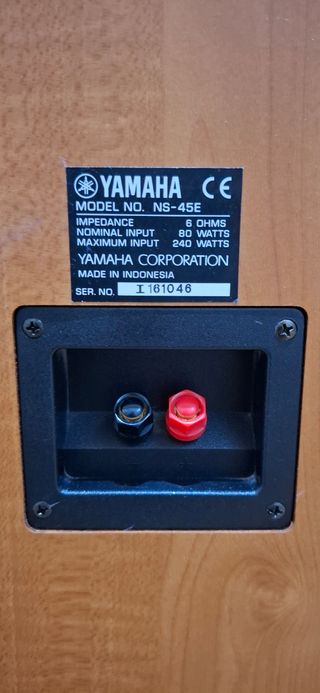 Diffusori yamaha ns45e + home theater