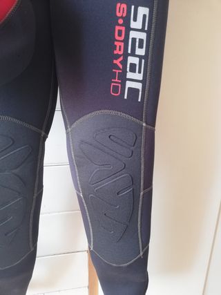 Muta semistagna Seac donna