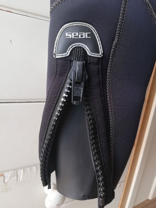 Muta semistagna Seac donna