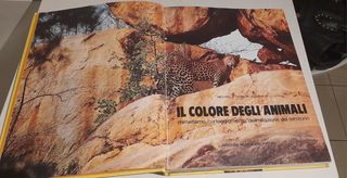 Il colore degli animali di Fogden 
