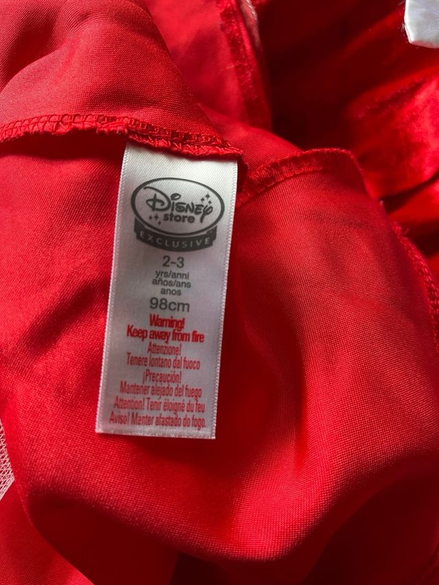 Disfraz Disney ratita presumida