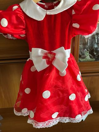 Disfraz Disney ratita presumida