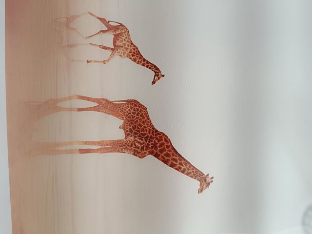 Set de 2 Láminas Decorativas África 40x30cm