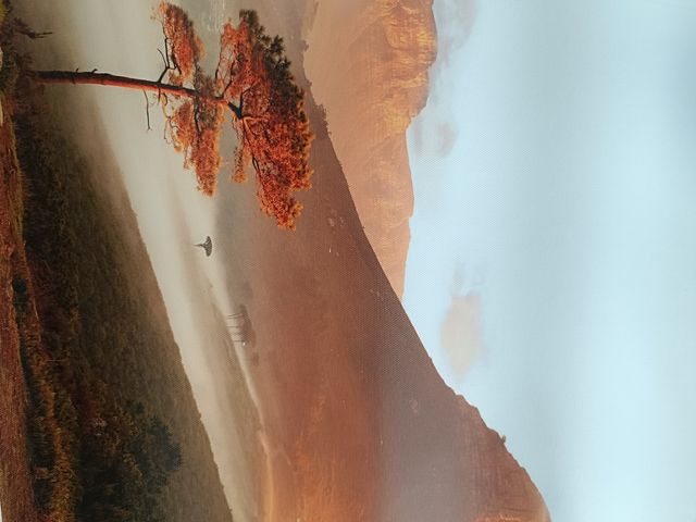 Set de 2 Láminas Decorativas África 40x30cm