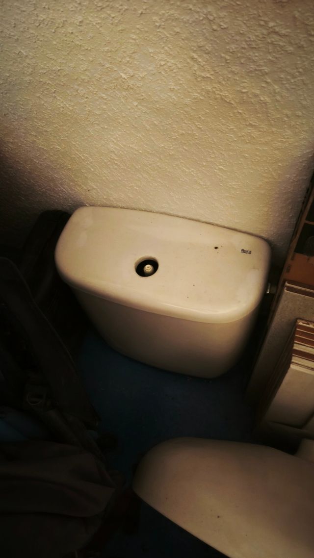 Lavabo Roca con pedestal wáter victoria