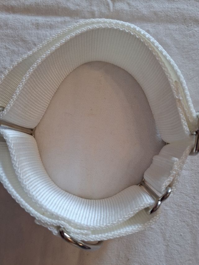 Collar galgos, podemos.....