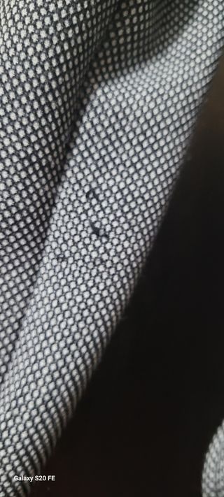 Cappotto Elisabetta Franchi