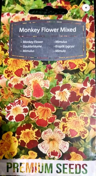 30 Semillas Mimulus Variado 