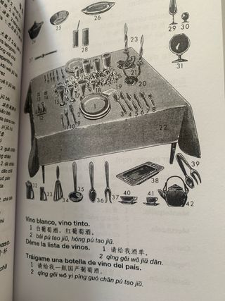 Hablar chino en quince dias