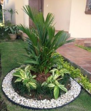 Jardinero económico 
