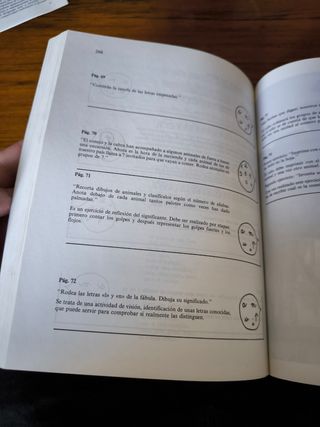 Trabajo globalizado para la clase de cinco años