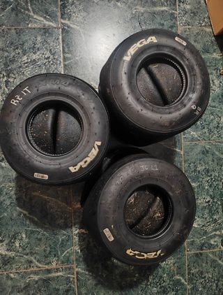 Neumáticos Vega Blanca XM4 