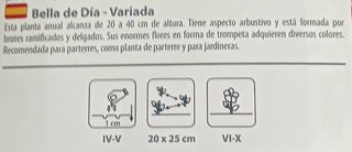 Semillas Bella de Día Variadas