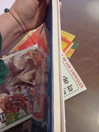 Kama Sutra (Clasicos de la Literatura Erotica O...